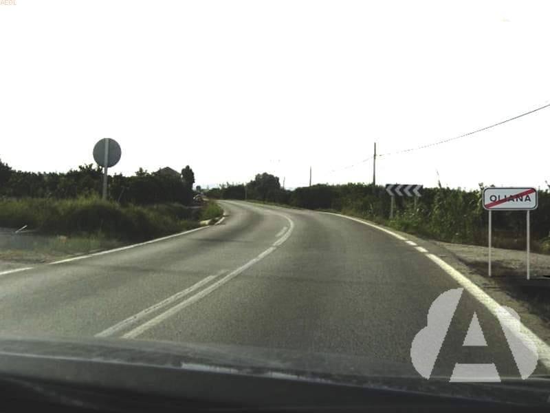 Cuando no exista zona peatonal o ésta no sea practicable, los peatones, ¿pueden…