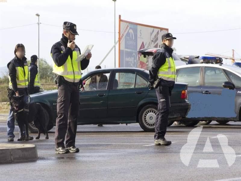 Para evitar los accidentes, es importante...