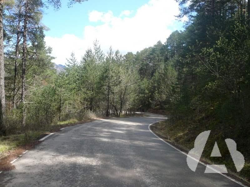 En esta carretera, ¿está permitido circular por el centro de la calzada?