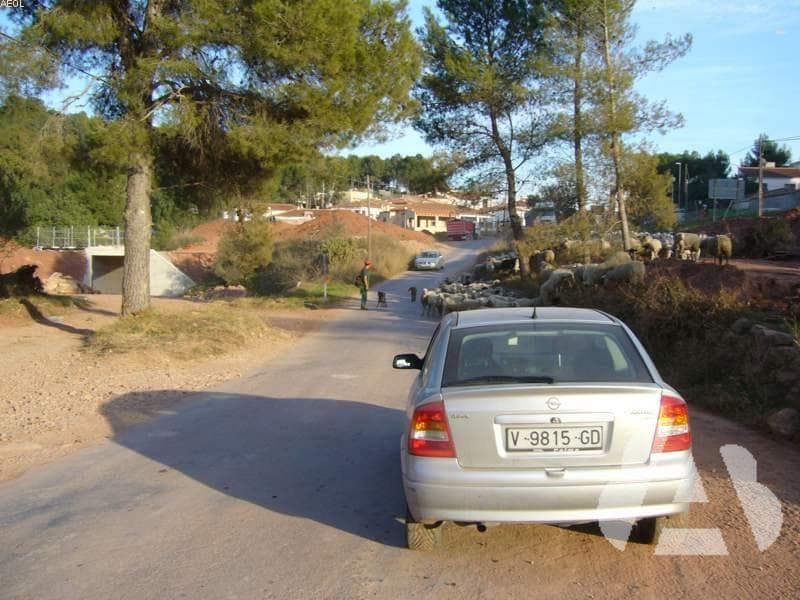 Cuando no exista vía pecuaria, ¿en qué vías está permitida la circulación de…