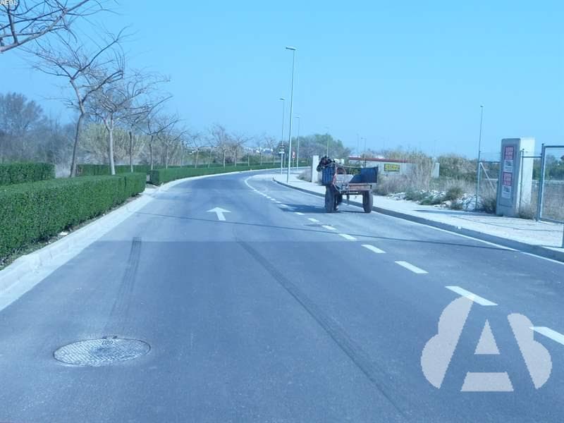 Los vehículos de tracción animal, ¿pueden circular por autopistas y autovías?