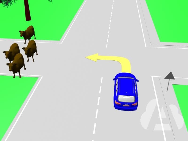 Los conductores deben ceder el paso a los animales...