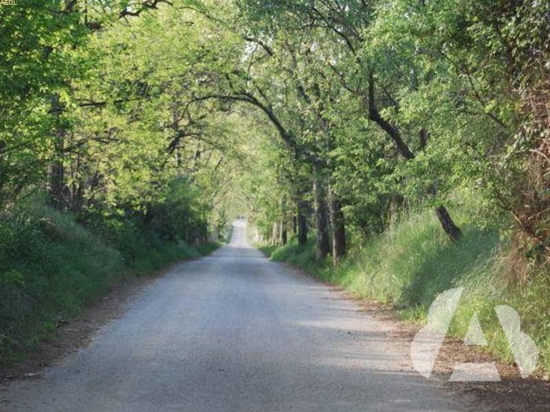 El medio ambiente, ¿puede verse afectado por los accidentes de tráfico?