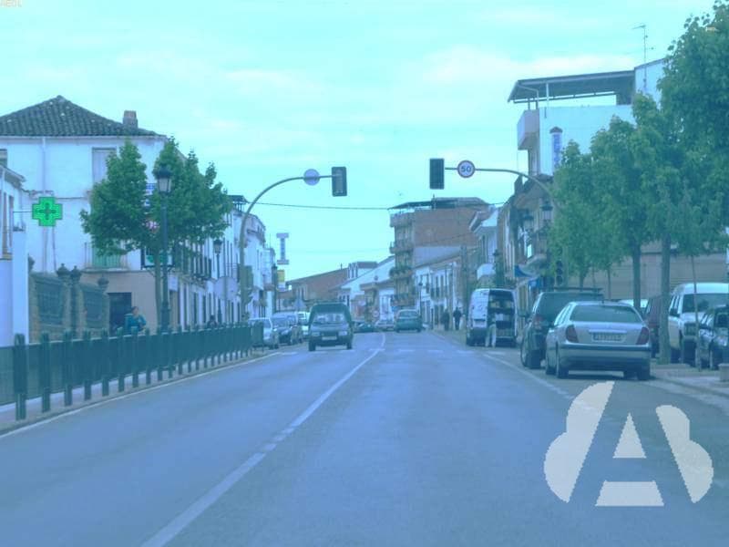 ¿Está permitido circular por una travesía con las luces antiniebla encendidas…