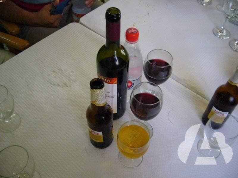 ¿Qué alteración provoca con mayor frecuencia el consumo de alcohol en el…
